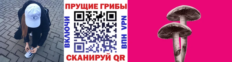 Псилоцибиновые грибы Psilocybe  купить наркотик  kraken ТОР  Челябинск 